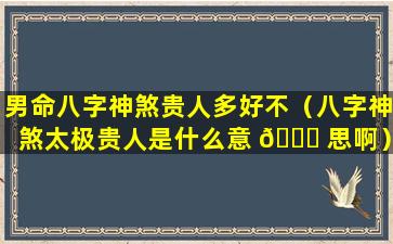 男命八字神煞贵人多好不（八字神煞太极贵人是什么意 🕊 思啊）